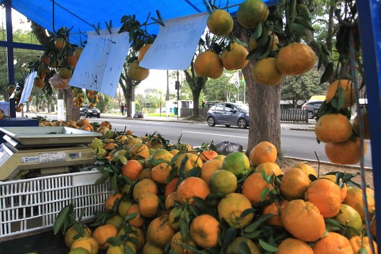 IMG_4250Banca_Ponca_Forum