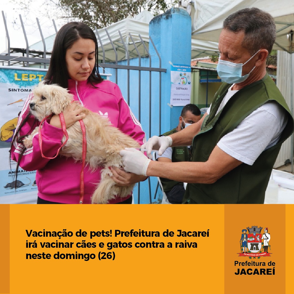 Vacinação de pets! Prefeitura de Jacareí irá vacinar cães e gatos