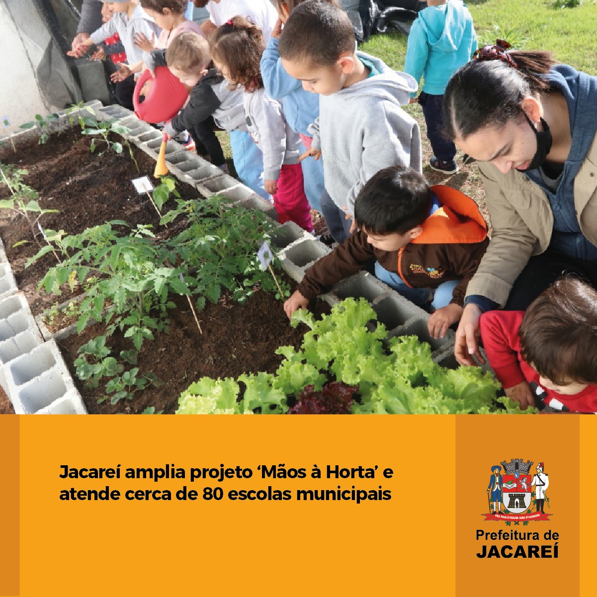 Jacareí amplia projeto ‘Mãos à Horta’ e atende cerca de 80 escolas
